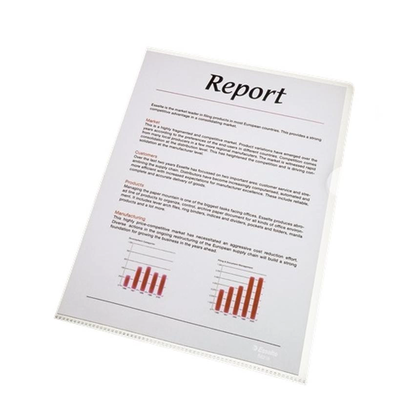 OFERTÓWKA KRYSTALICZNA A4 ESSELTE