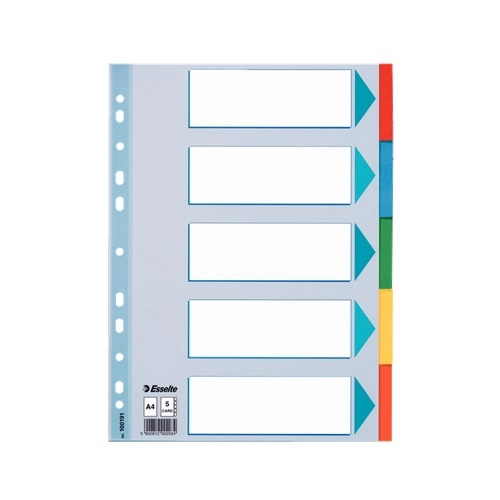 PRZEKŁADKI KARTONOWE Z KARTĄ OPISOWĄ ESSELTE