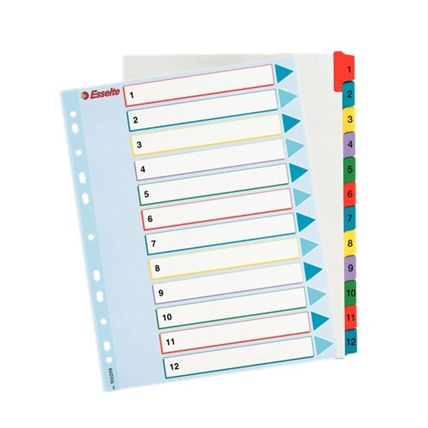 PRZEKŁADKI KARTONOWE A4 MAXI DO WIELOKROTNEGO OPISYWANIA ESSELTE