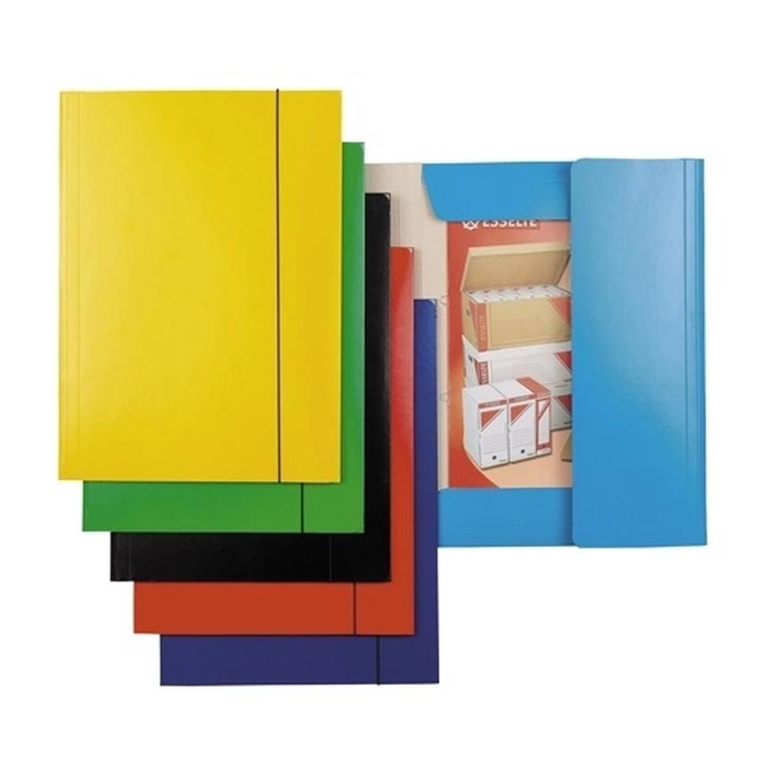 TECZKA LAKIEROWANA Z GUMKĄ ESSELTE