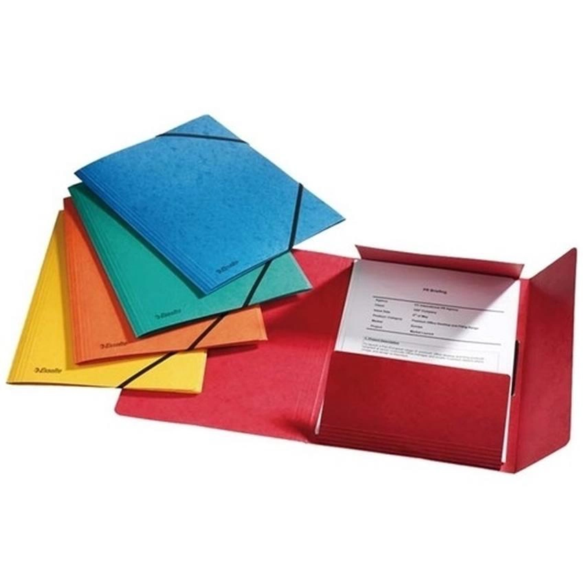 TECZKA PRESZPANOWA Z GUMKAMI ESSELTE RAINBOW