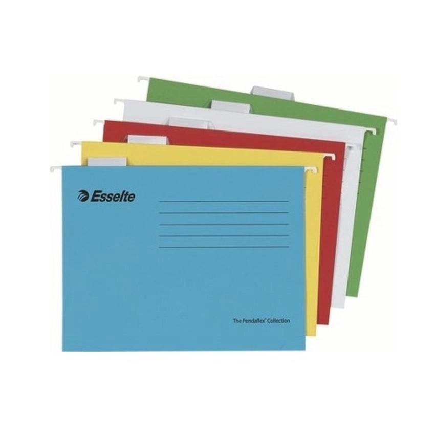 TECZKA ZAWIESZANA STANDARD ESSELTE