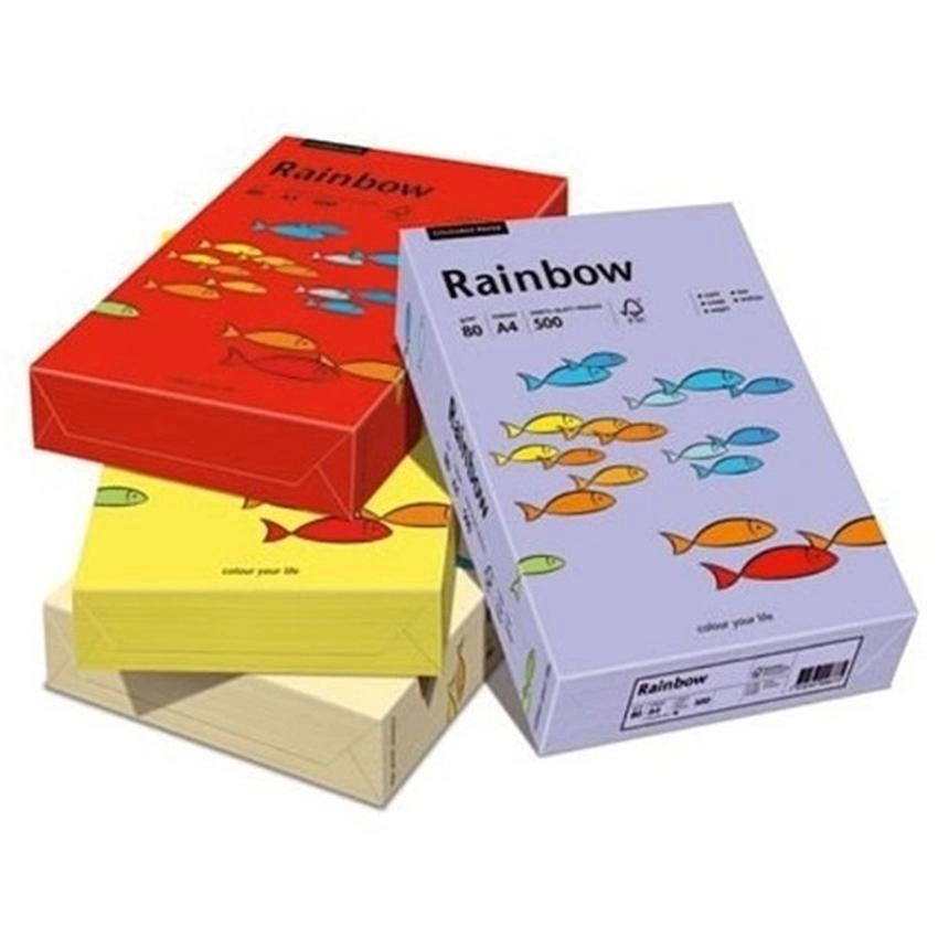 PAPIER KOLOROWY RAINBOW A4 160 G/M2