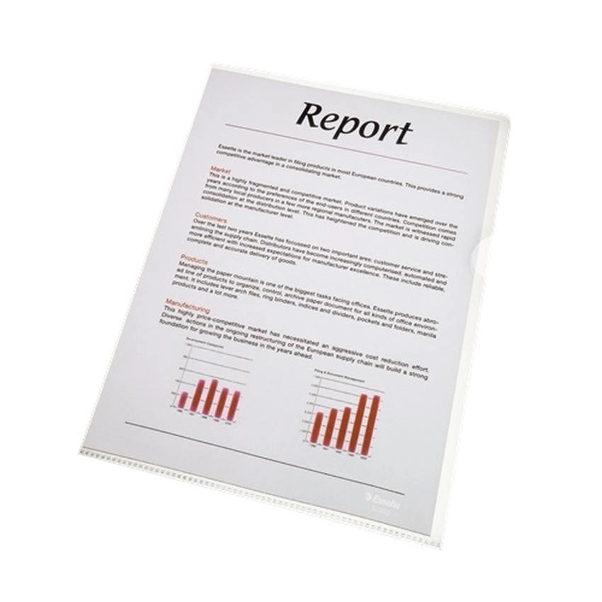 OFERTÓWKA GROSZKOWA A4 ESSELTE