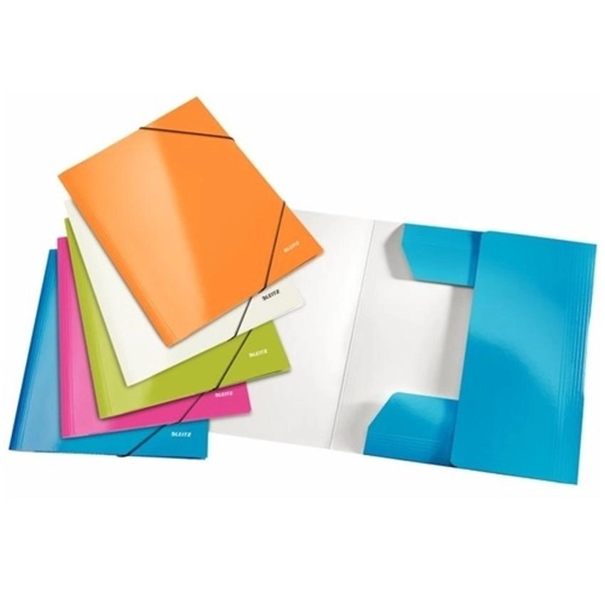 TECZKA Z GUMKĄ LEITZ WOW [LP]