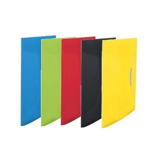 TECZKA Z GUMKĄ VIVIDA ESSELTE 15 MM