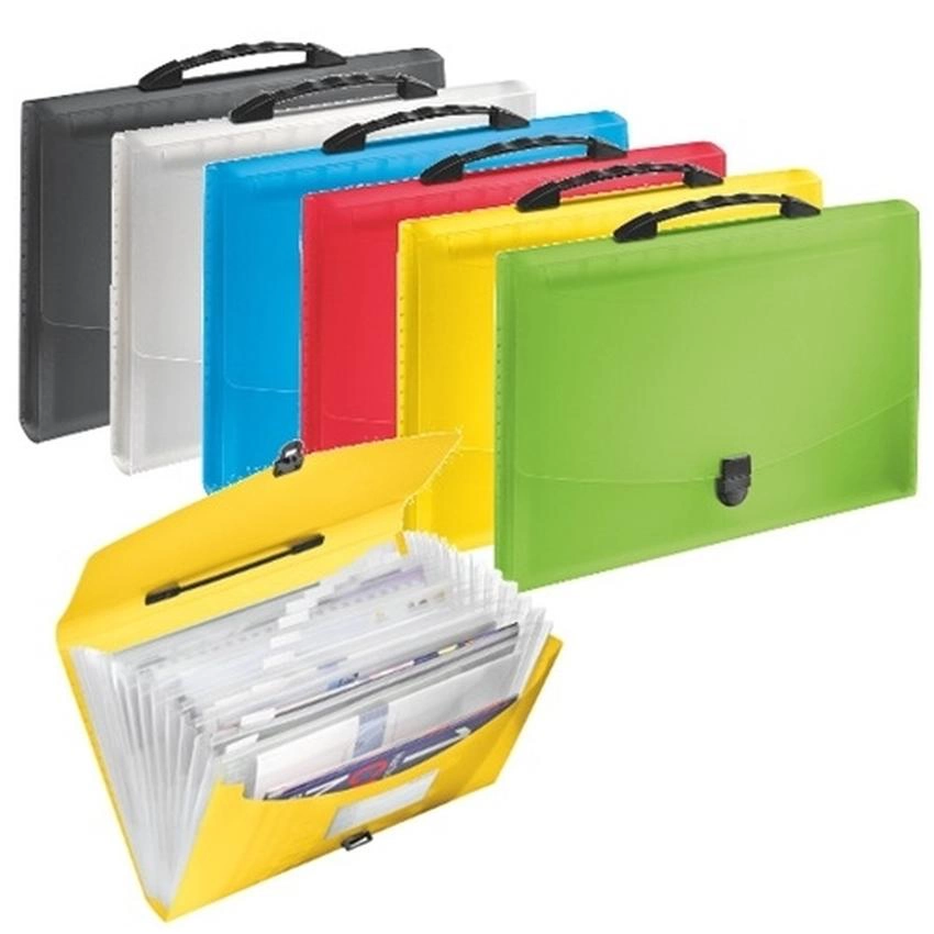 TECZKA Z PRZEGRÓDKAMI I RĄCZKĄ VIVIDA ESSELTE