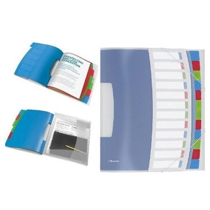 TECZKA SEGREGUJĄCA VIVIDA ESSELTE