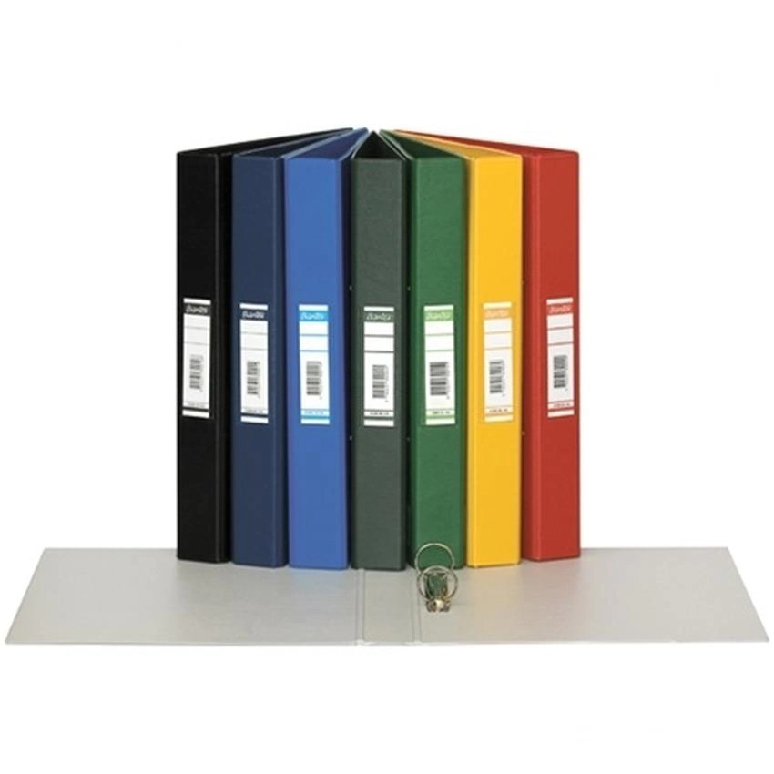 SEGREGATOR RINGOWY A4 BANTEX