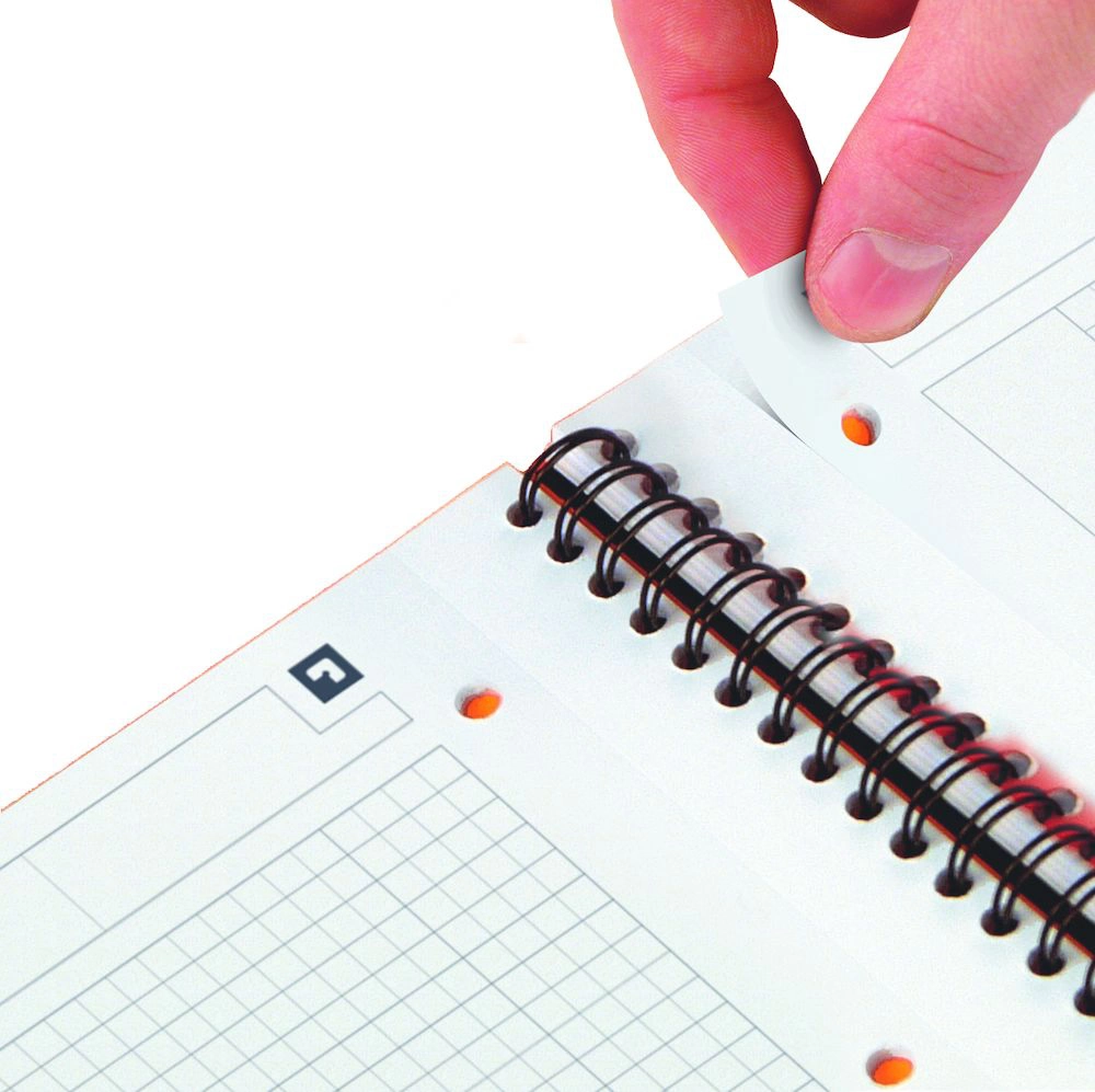 Oxford International A4+ 80k linia