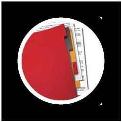 KOŁONOTATNIK ORGANISERBOOK OXFORD INTERNATIONAL