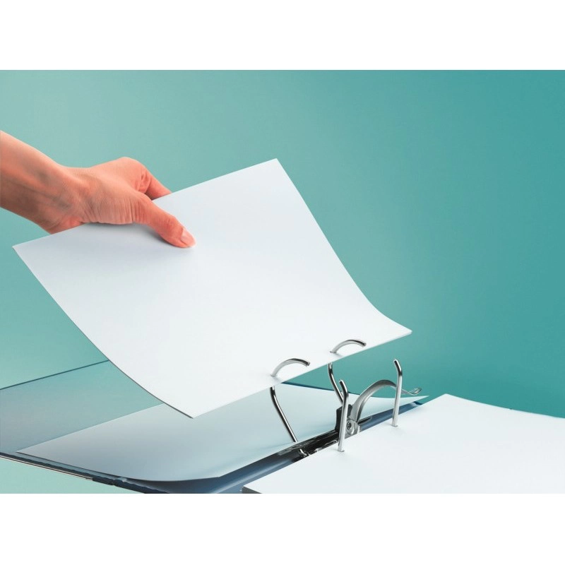 SEGREGATOR LEITZ Z MECHANIZMEM 180°