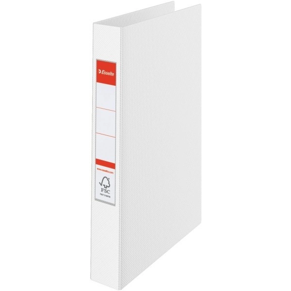 SEGREGATOR RINGOWY A4 ESSELTE VIVIDA