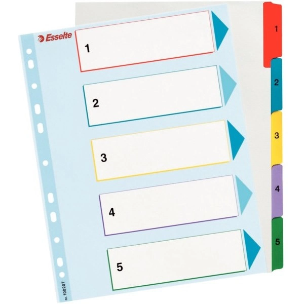 PRZEKŁADKI KARTONOWE A4 MAXI DO WIELOKROTNEGO OPISYWANIA ESSELTE