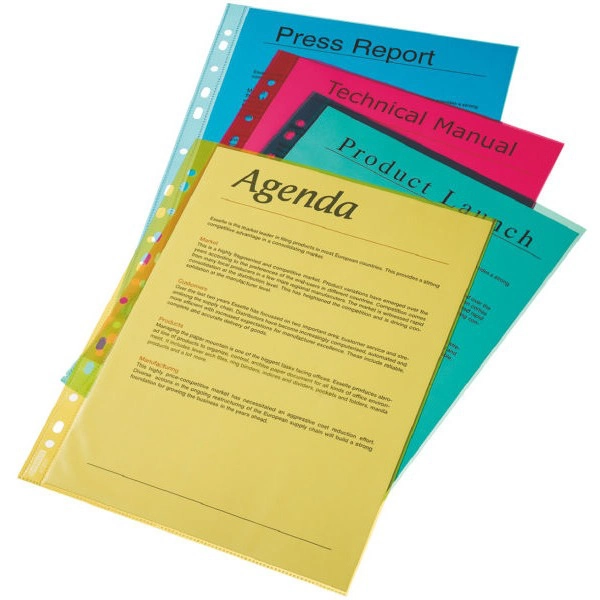 KOSZULKA KRYSTALICZNA ESSELTE A4