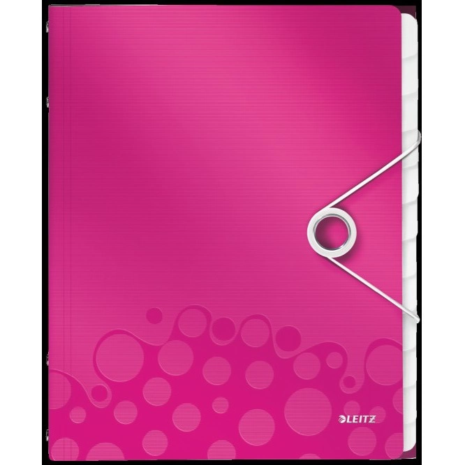 TECZKA SEGREGUJĄCA LEITZ WOW Z 12 PRZEKŁADKAMI